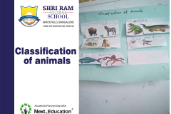 animal-classification-activity