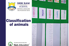 SRGS Classification of animals