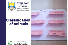 SRGS Classification of animals