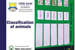 SRGS Classification of animals